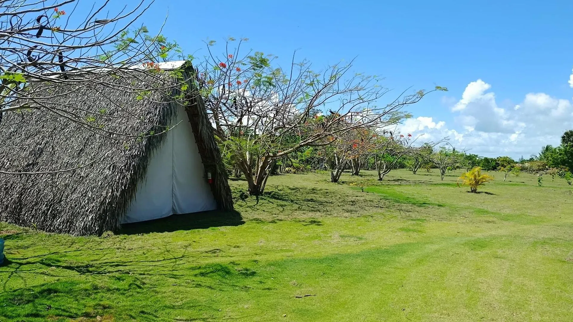 Eco Lodges & Camping Macao Beach Bavaro Punta Cana