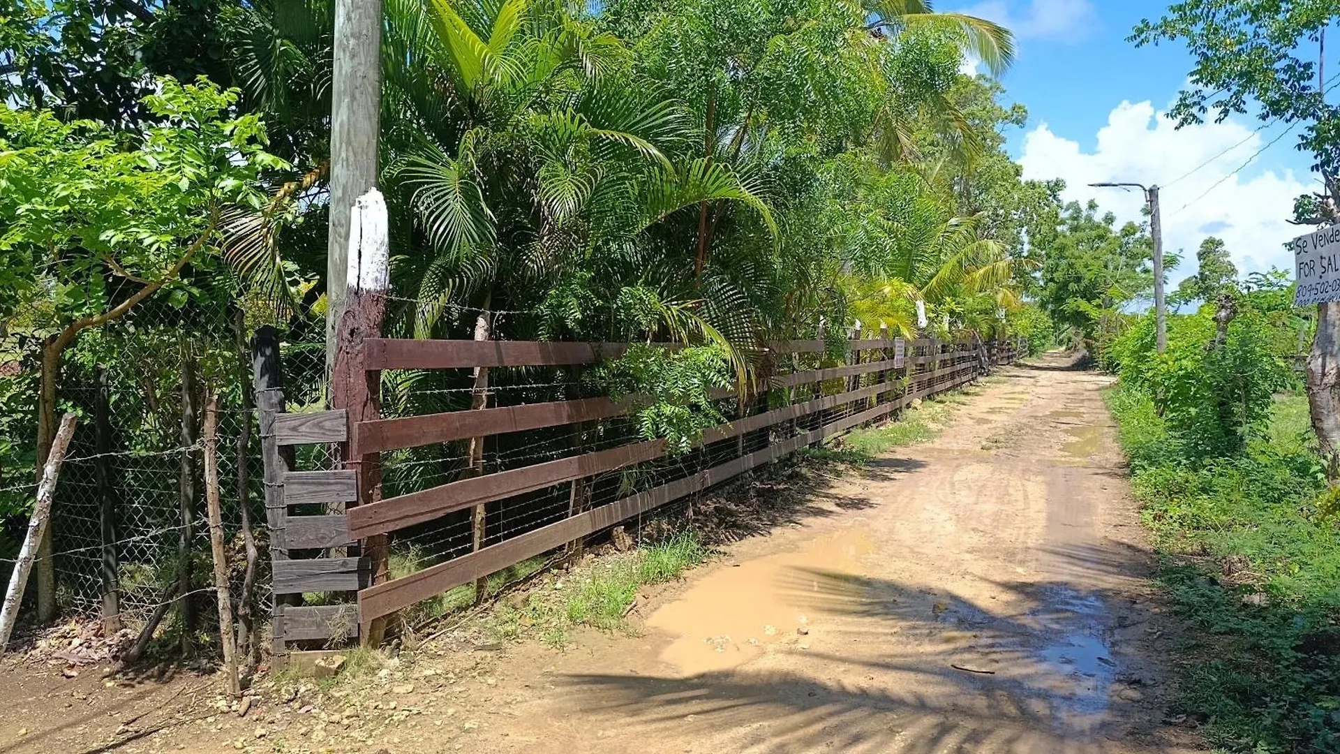 Eco Lodges & Camping Macao Beach Bavaro Punta Cana Dominican Republic