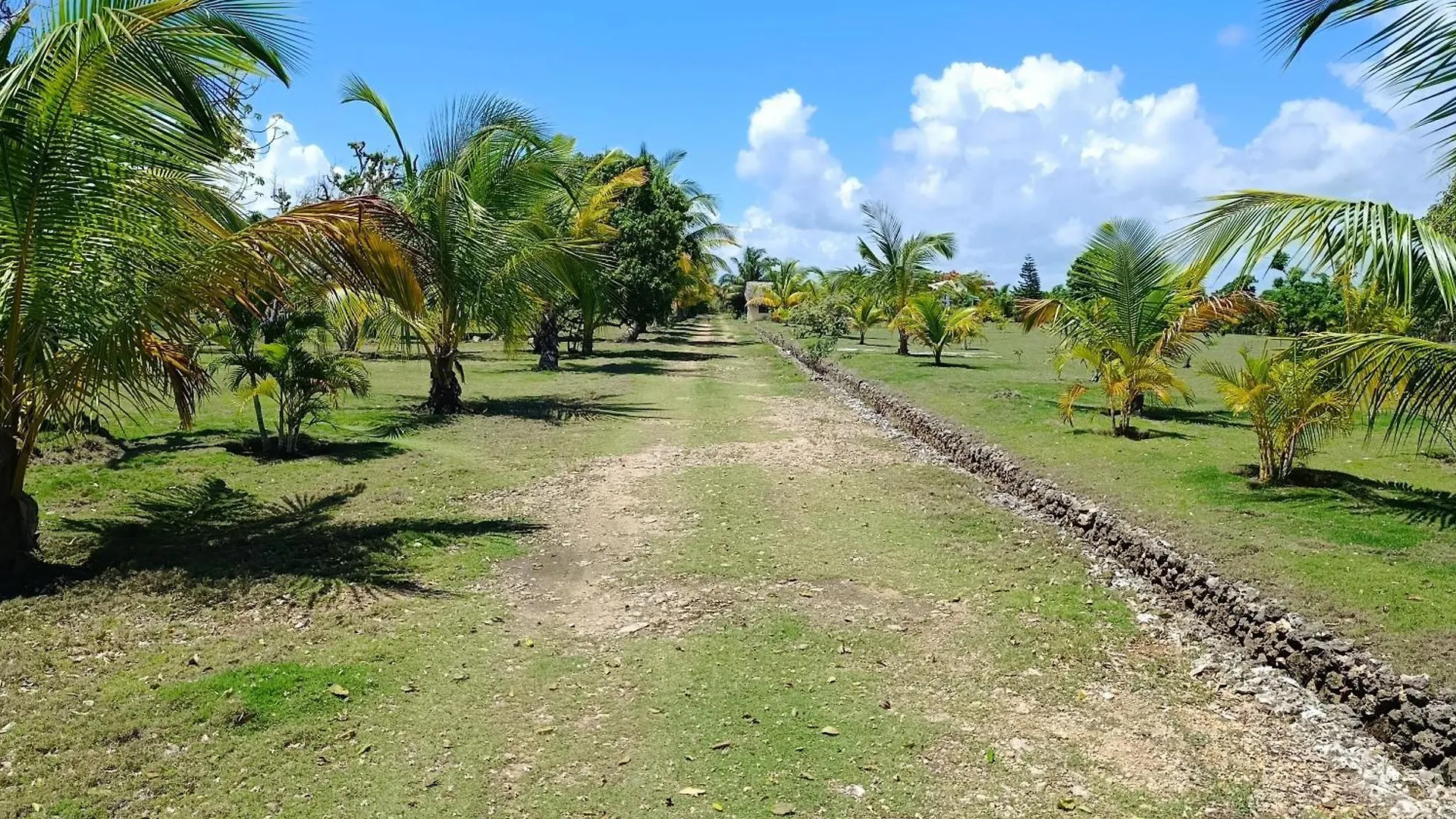 Eco Lodges & Camping Macao Beach Bavaro Punta Cana 0*,  Dominican Republic