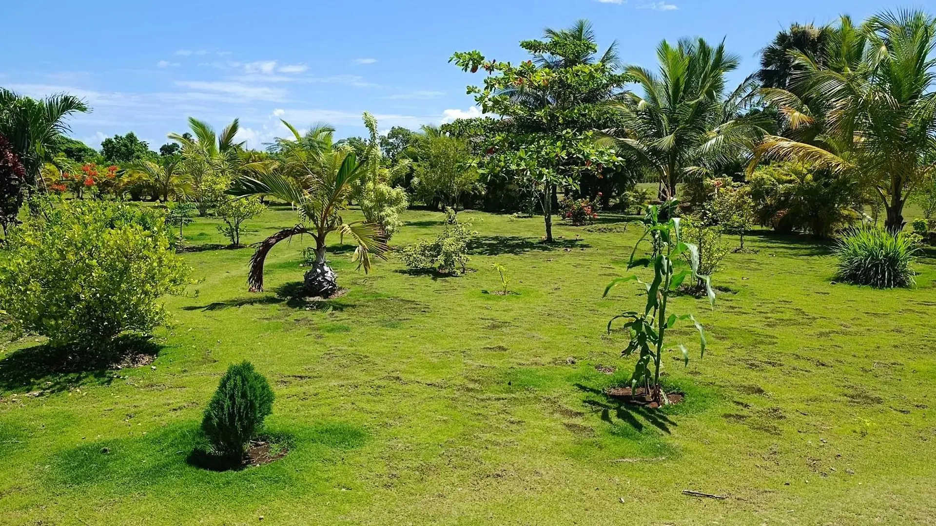 Eco Lodges & Camping Macao Beach Bavaro Punta Cana Dominican Republic
