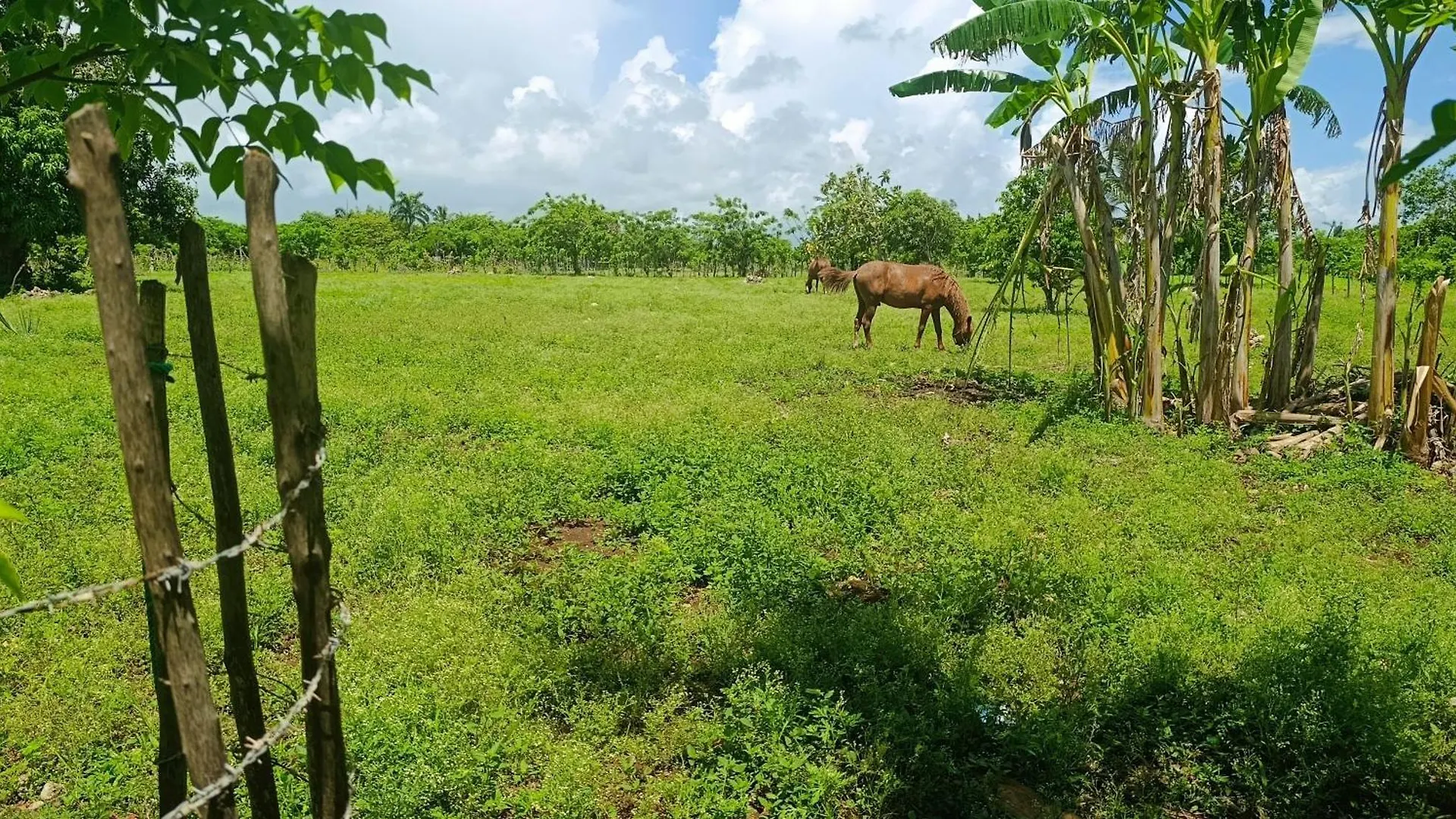 Eco Lodges & Camping Macao Beach Bavaro Punta Cana