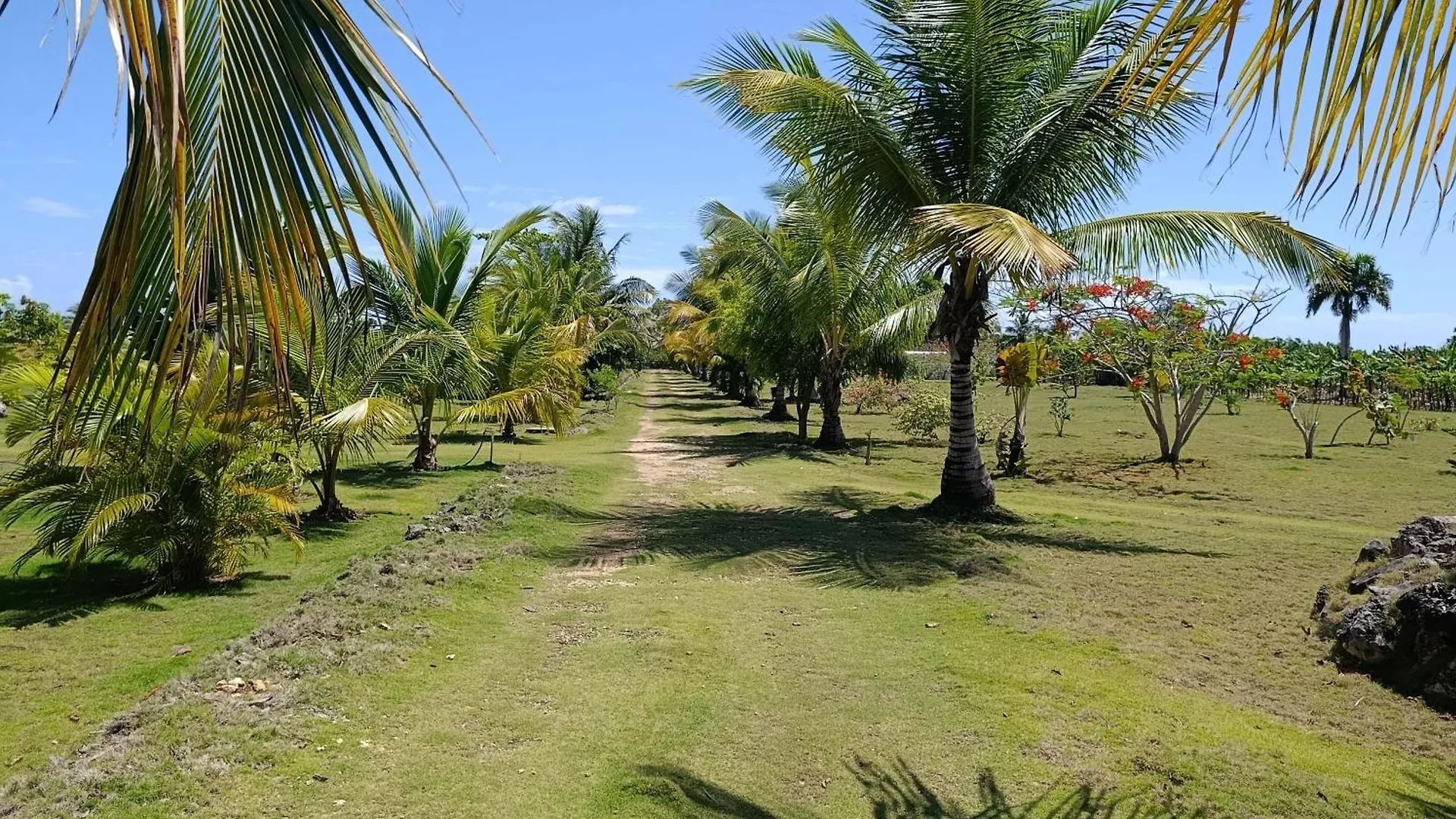 Eco Lodges & Camping Macao Beach Bavaro Punta Cana