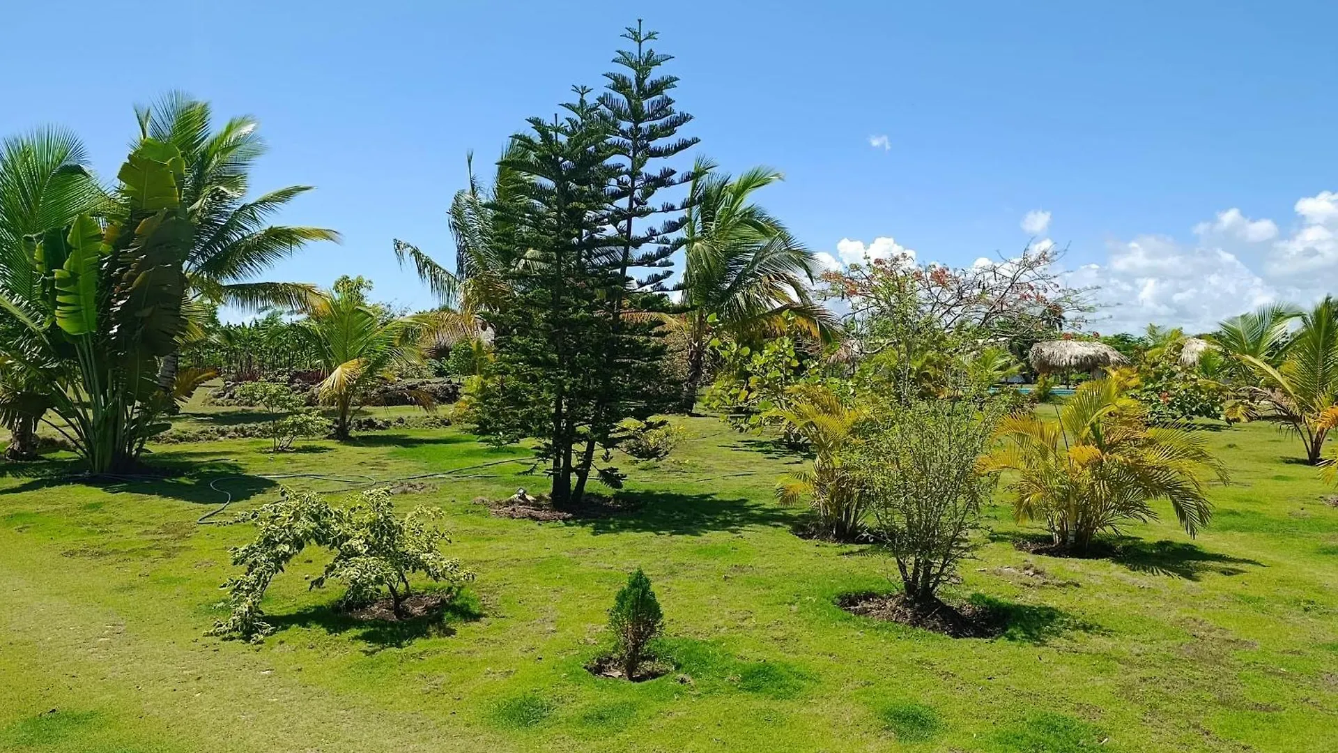 Eco Lodges & Camping Macao Beach Bavaro Punta Cana Dominican Republic