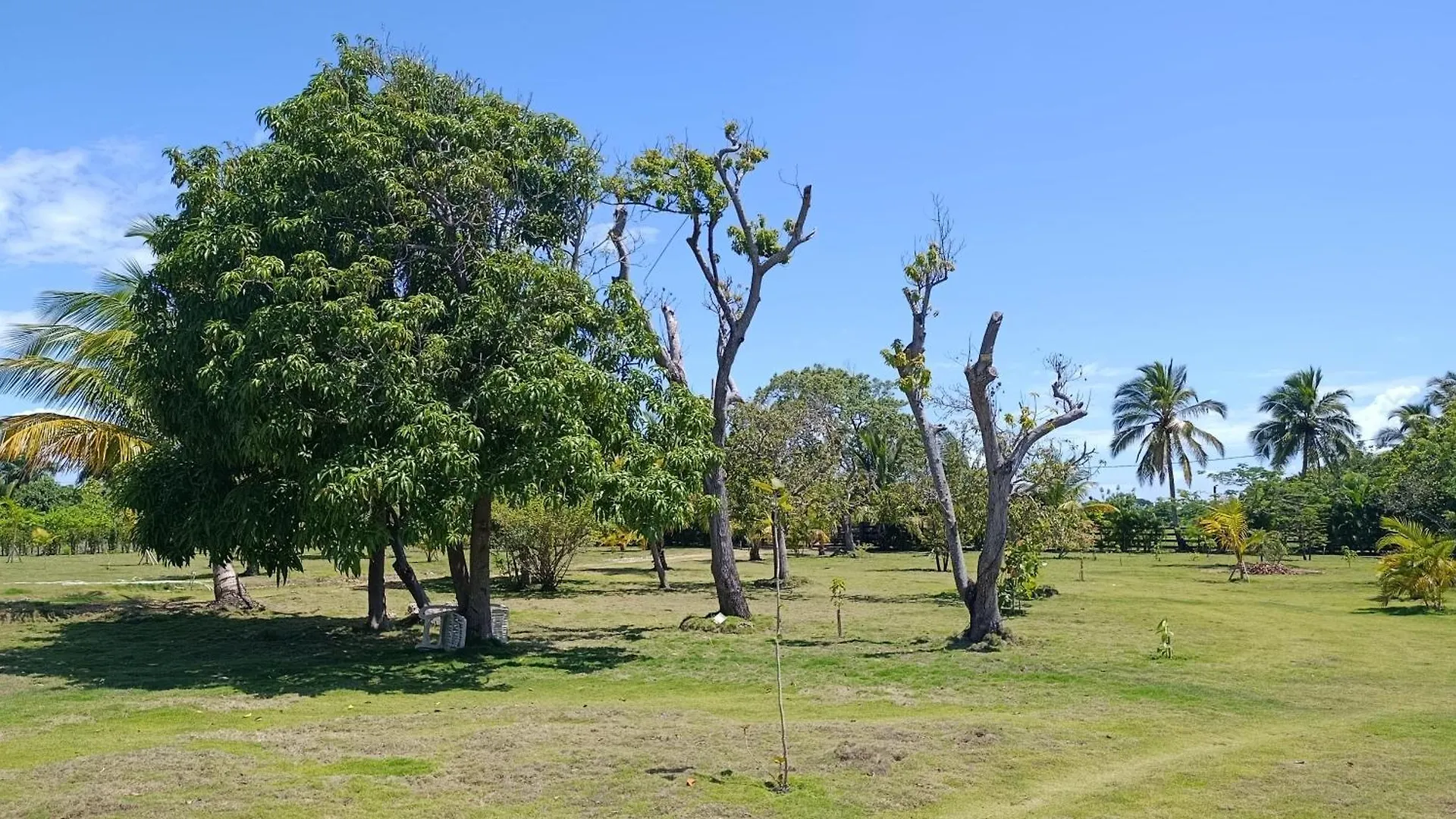 Eco Lodges & Camping Macao Beach Bavaro Punta Cana