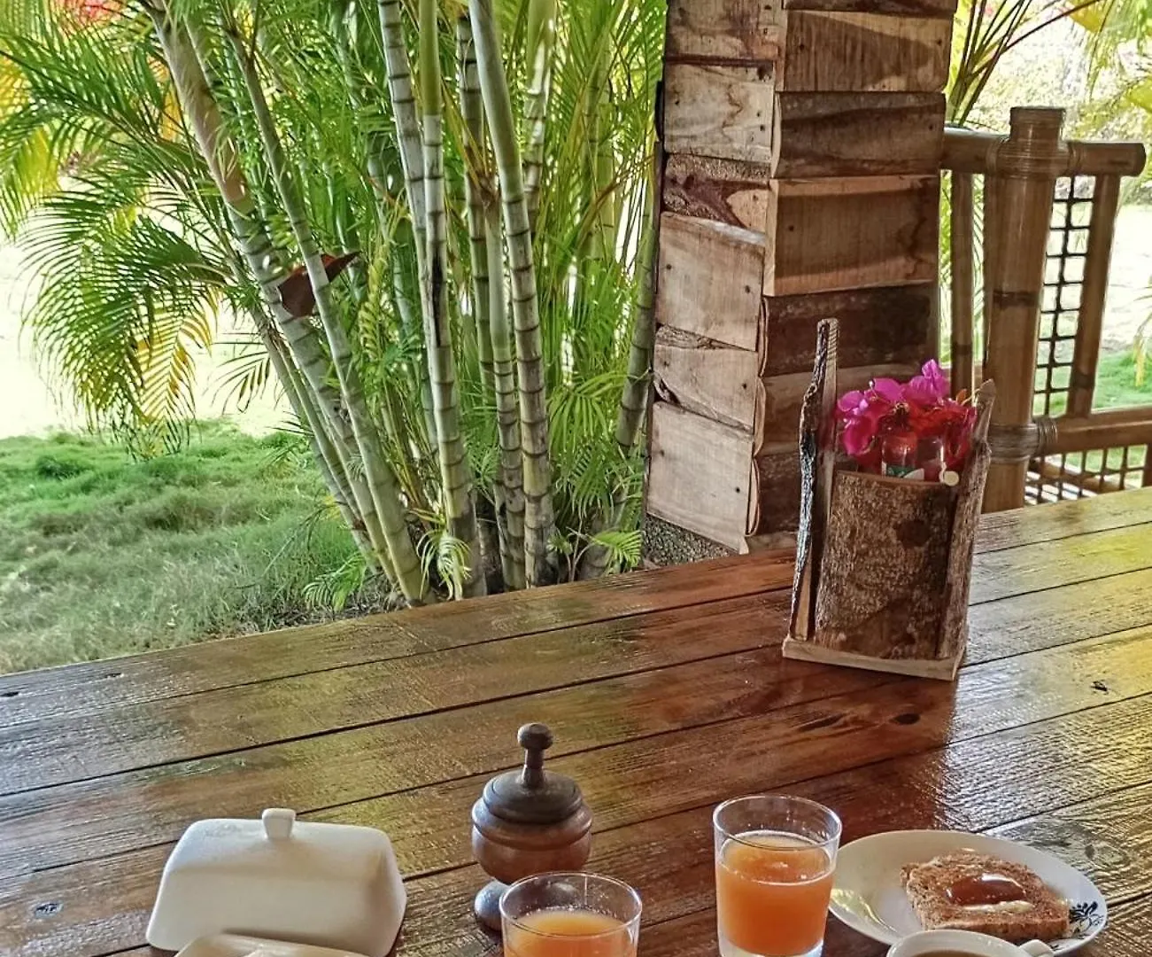 Eco Lodges & Camping Macao Beach Bavaro Punta Cana