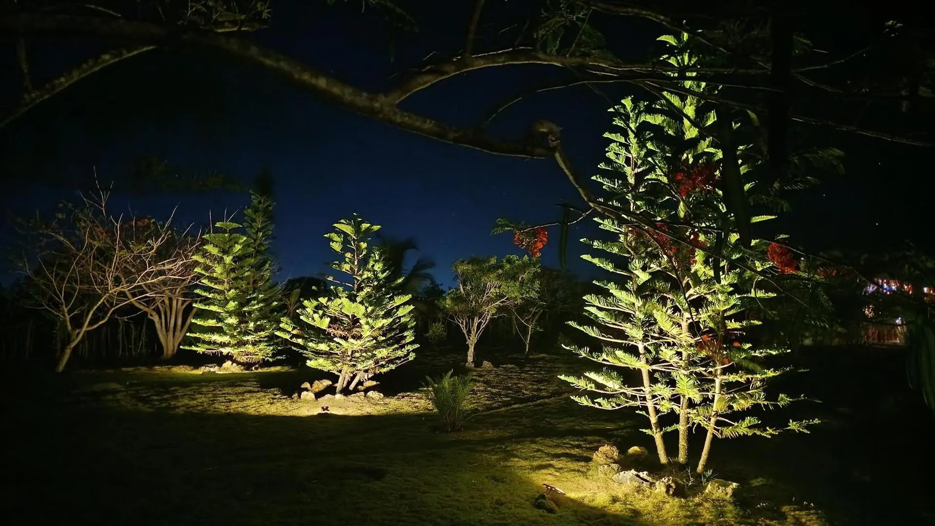 Eco Lodges & Camping Macao Beach Bavaro Punta Cana 多米尼加共和国