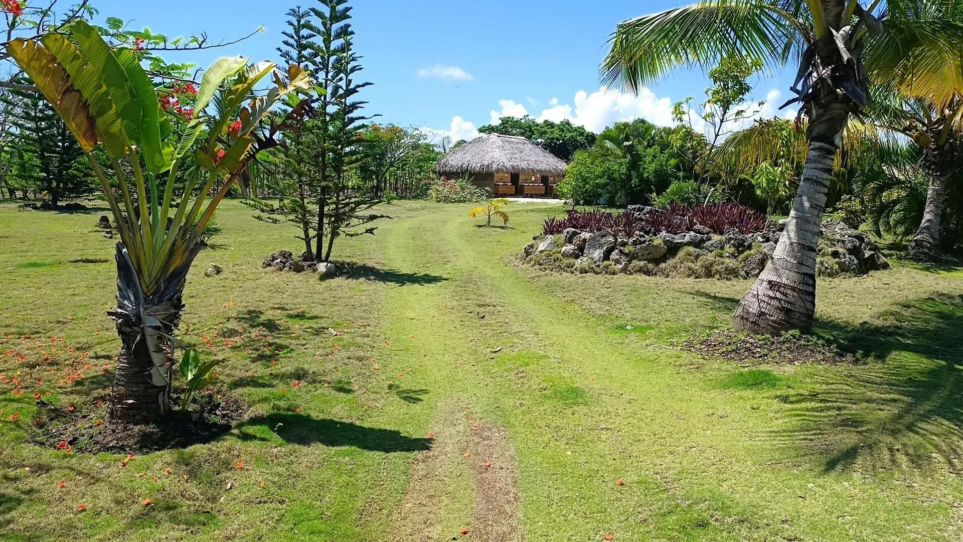 Eco Lodges & Camping Macao Beach Bavaro Punta Cana