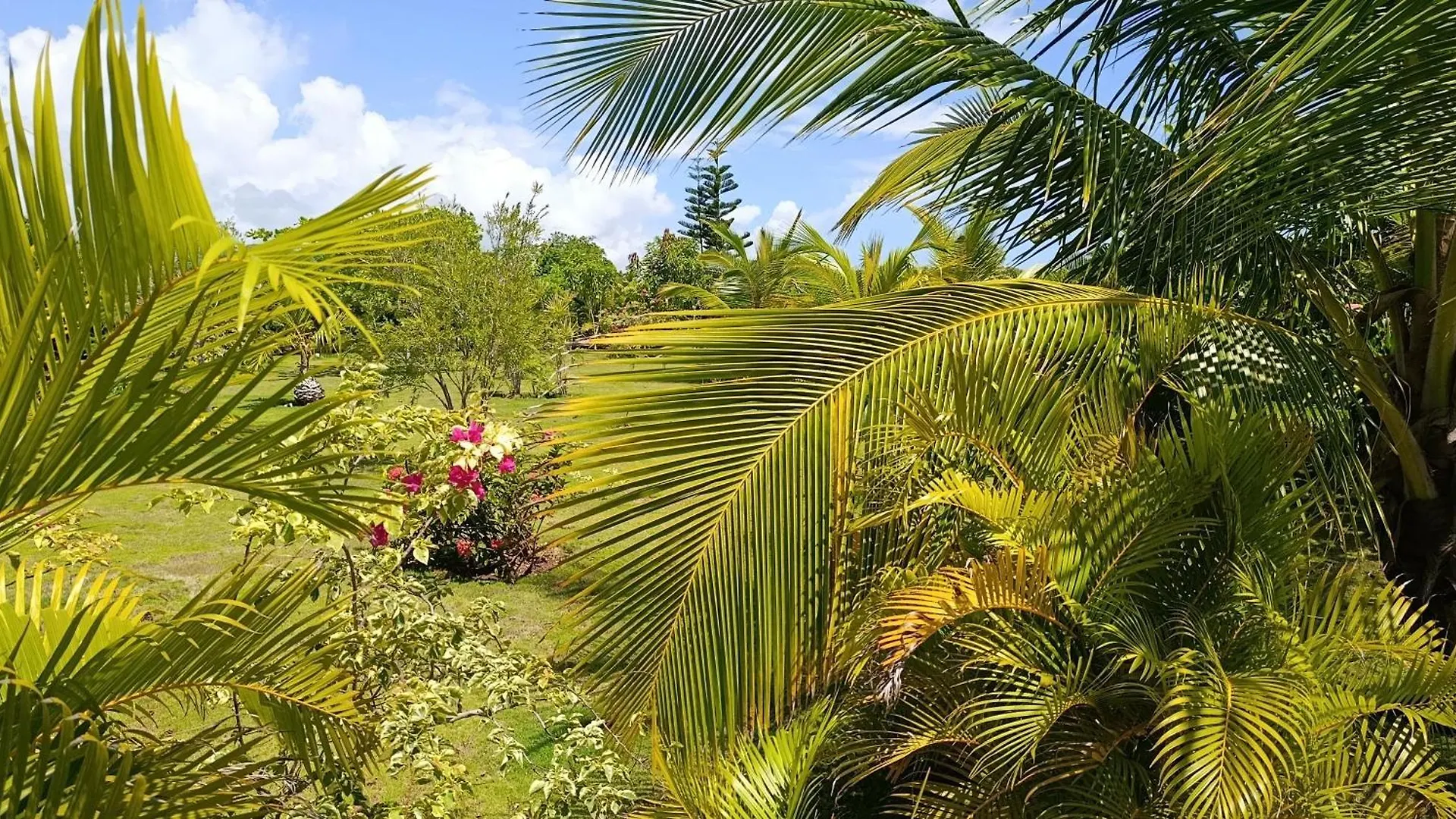 Eco Lodges & Camping Macao Beach Bavaro Punta Cana