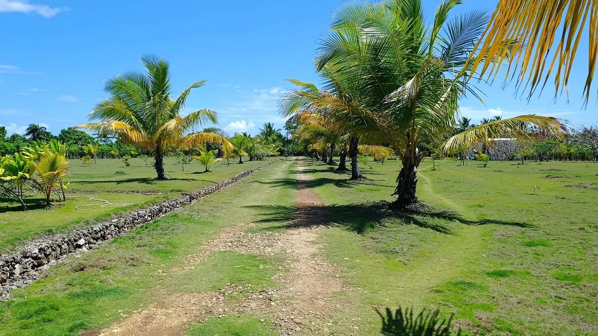 Eco Lodges & Camping Macao Beach Bavaro Punta Cana 0*,