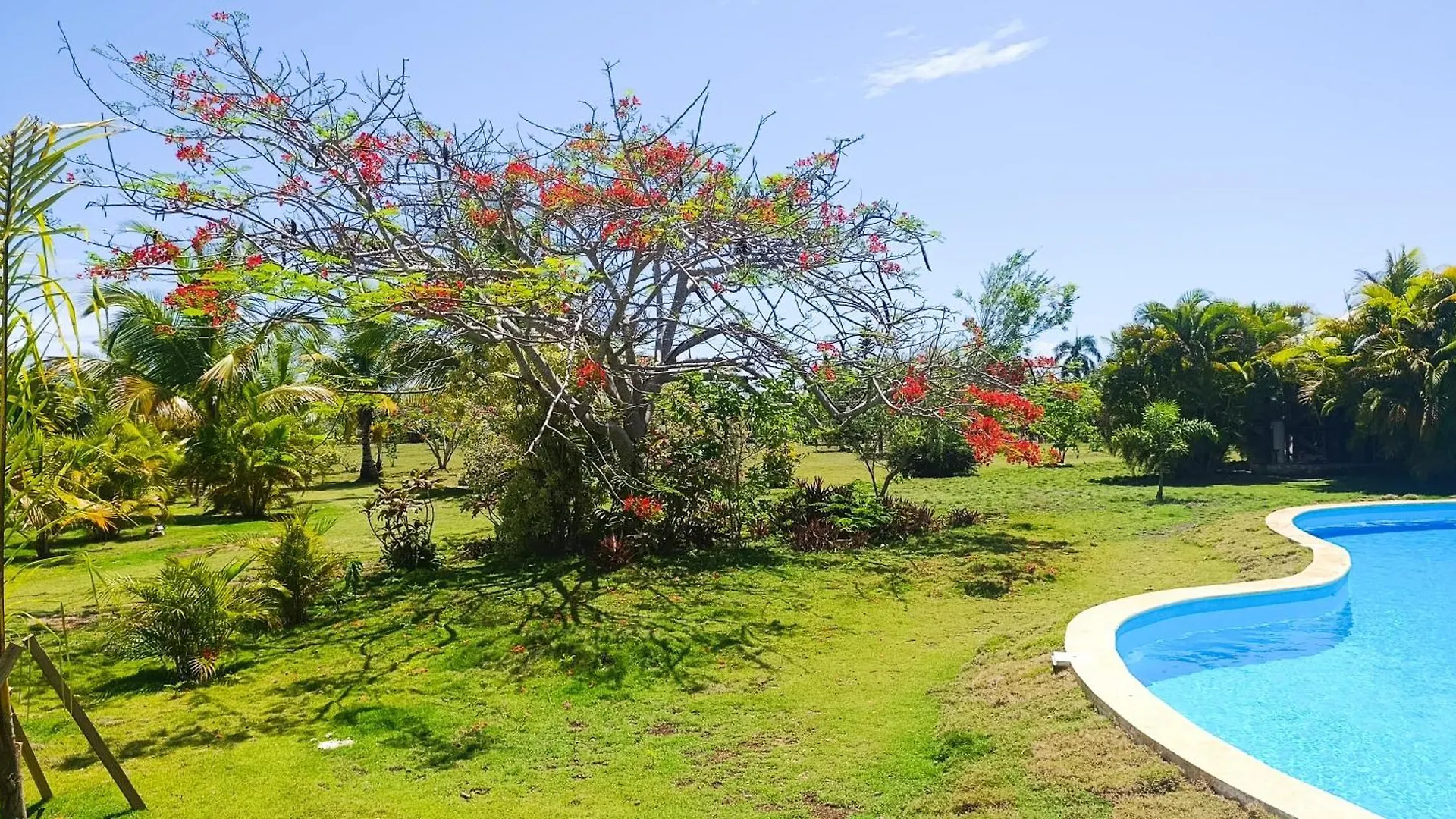 Eco Lodges & Camping Macao Beach Bavaro Punta Cana 0*,  多米尼加共和国