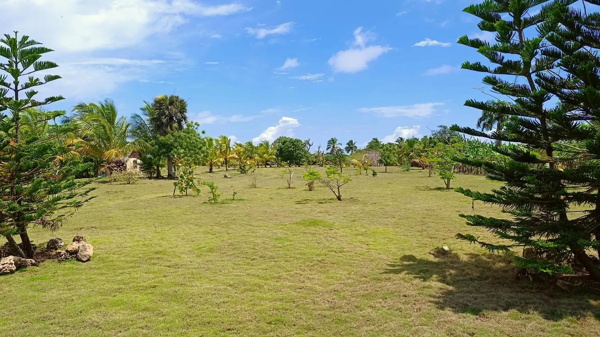 Eco Lodges & Camping Macao Beach Bavaro Punta Cana