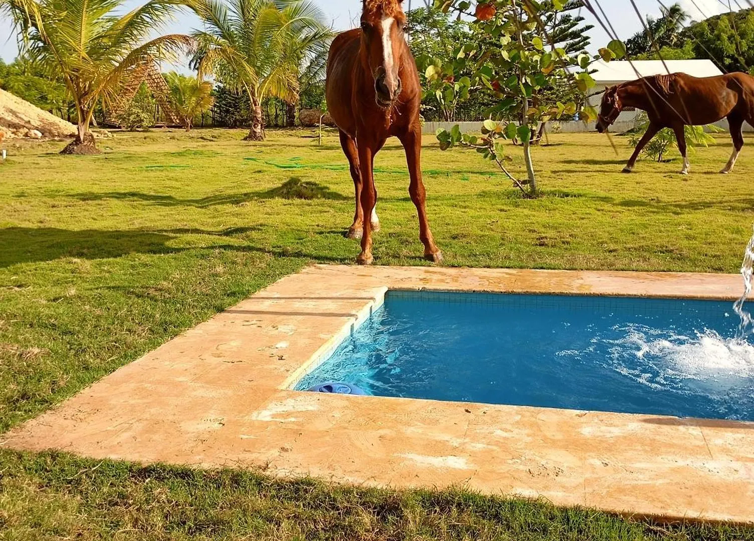 Eco Lodges & Camping Macao Beach Bavaro Punta Cana