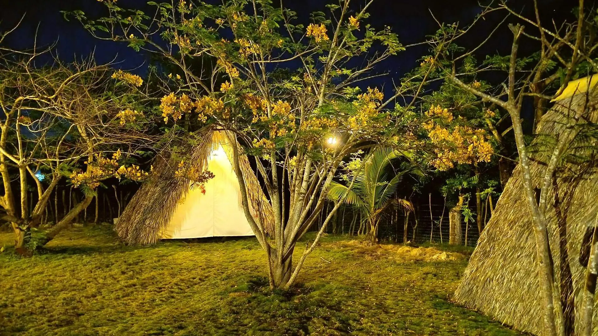 Eco Lodges & Camping Macao Beach Bavaro Punta Cana 多米尼加共和国