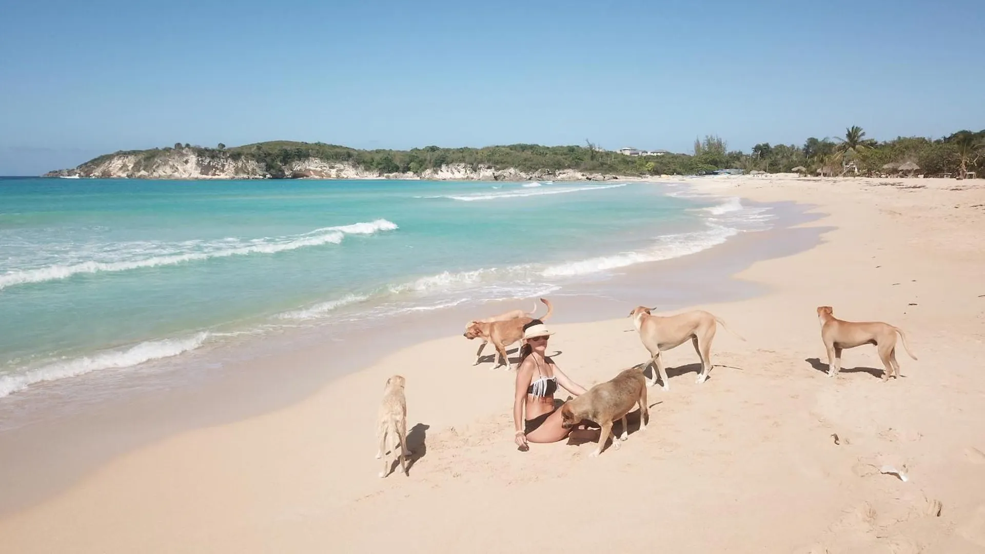 Eco Lodges & Camping Macao Beach Bavaro Punta Cana