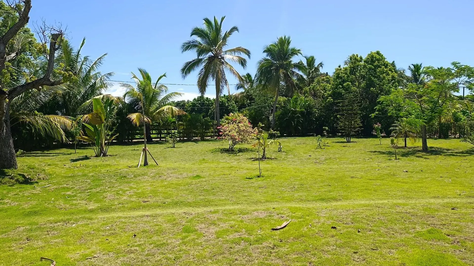 Eco Lodges & Camping Macao Beach Bavaro Punta Cana