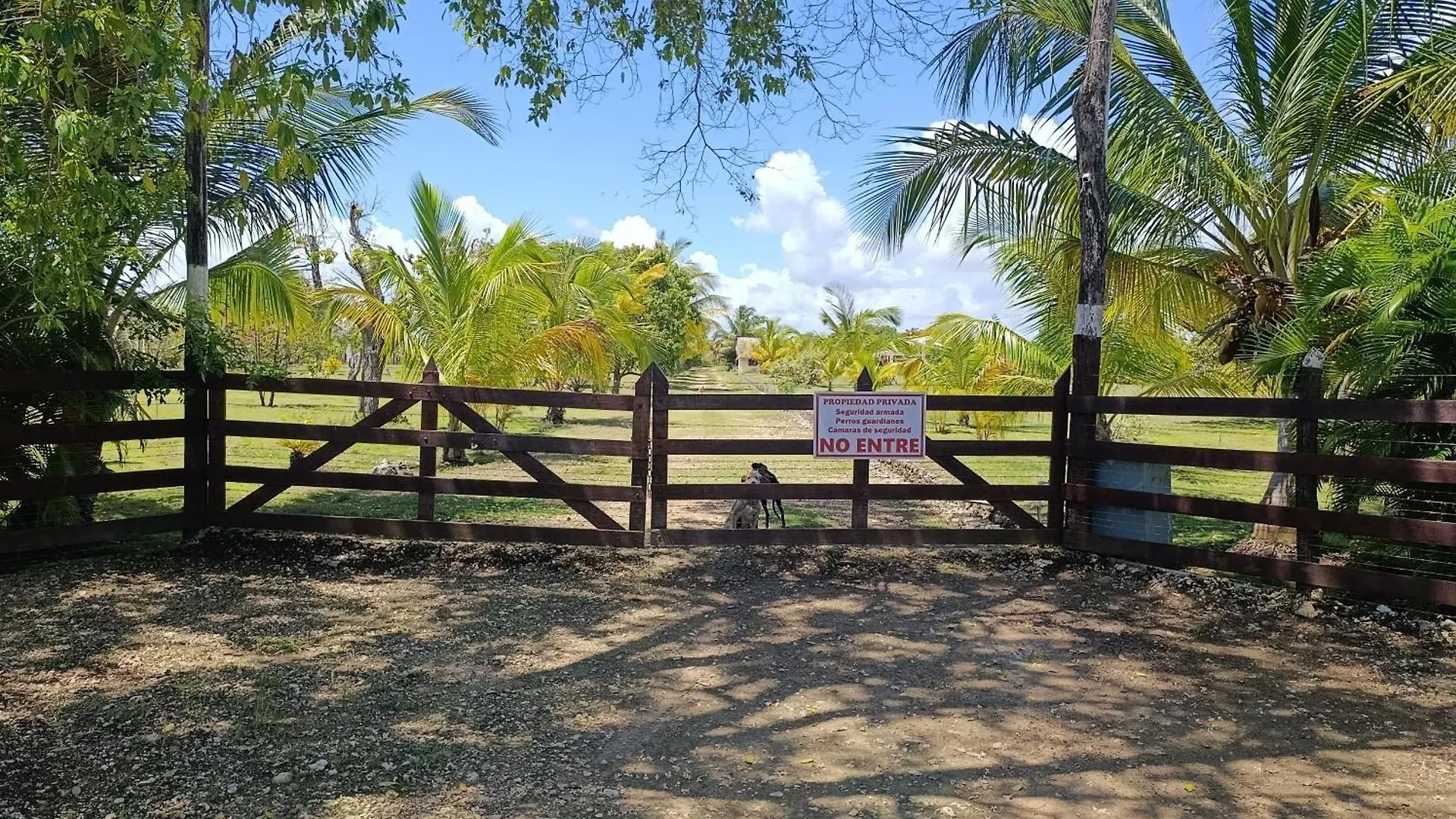 Eco Lodges & Camping Macao Beach Bavaro Punta Cana