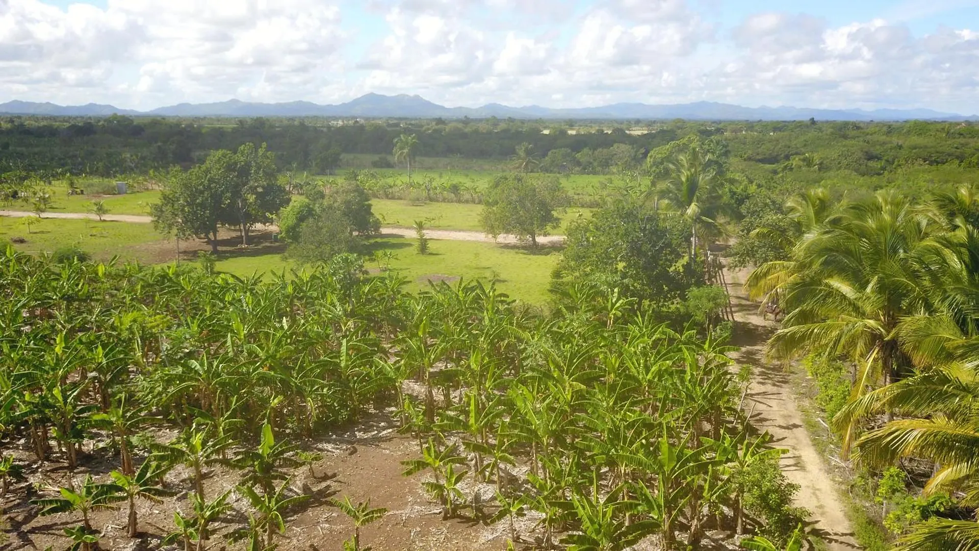 Eco Lodges & Camping Macao Beach Bavaro Punta Cana 0*,  Repubblica Dominicana