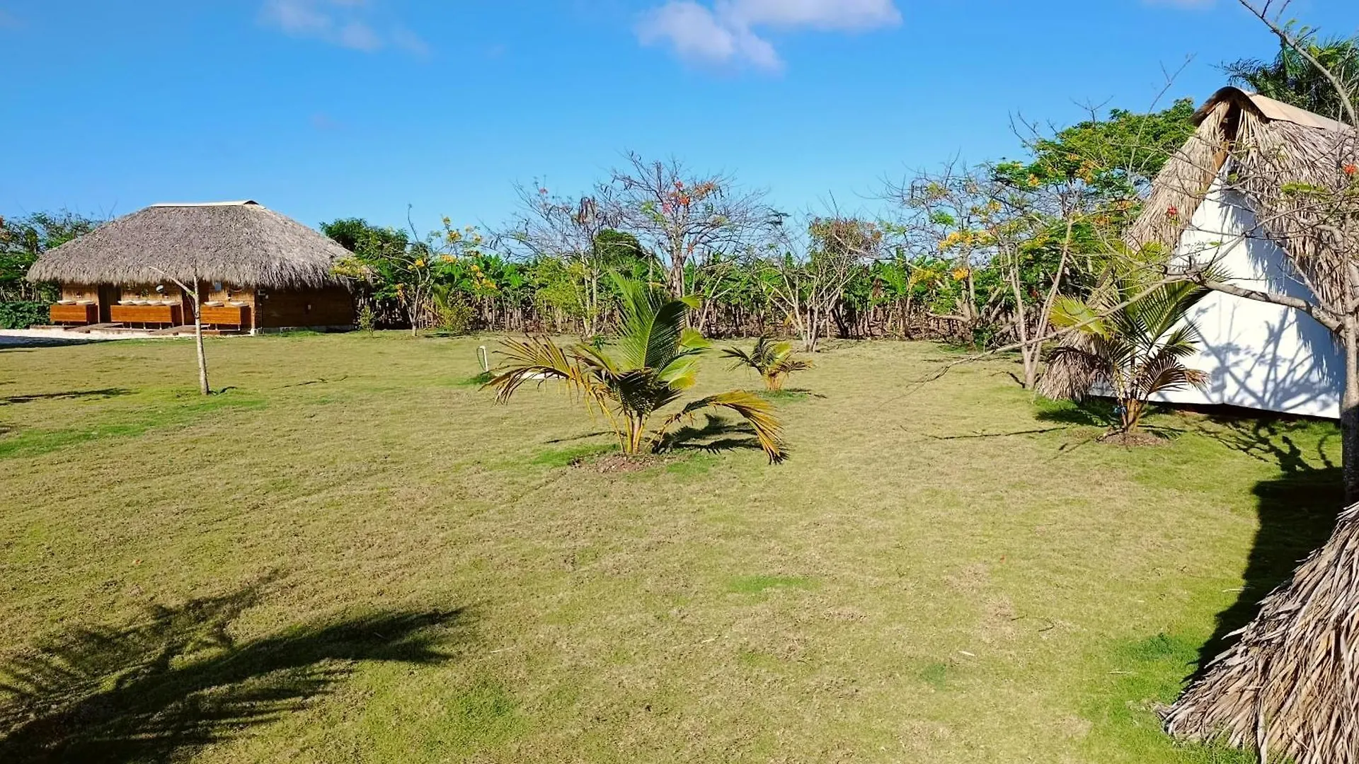 Eco Lodges & Camping Macao Beach Bavaro Punta Cana