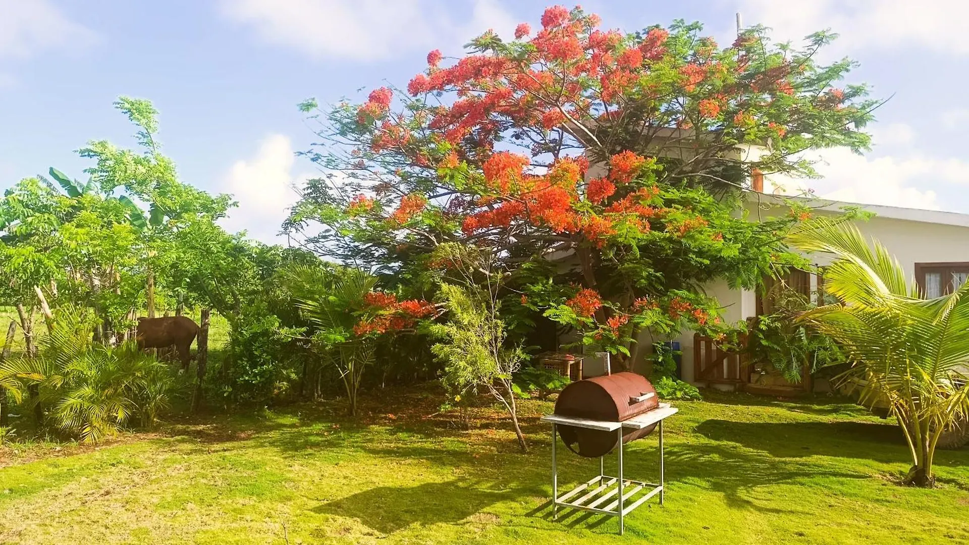 Eco Lodges & Camping Macao Beach Bavaro Punta Cana